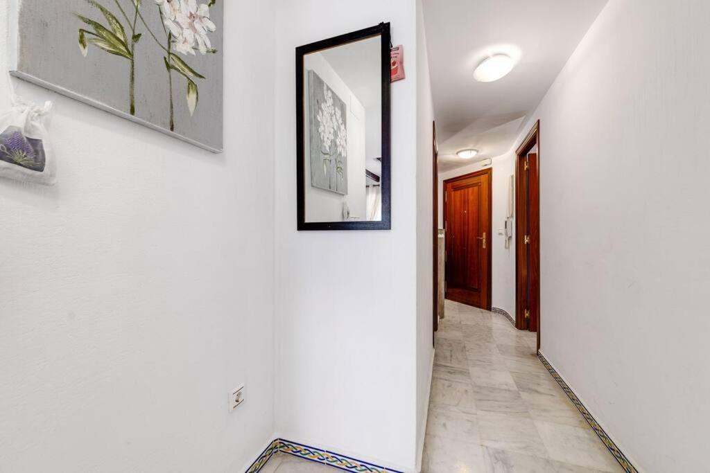 Apartament Star Torrevieja Zewnętrze zdjęcie